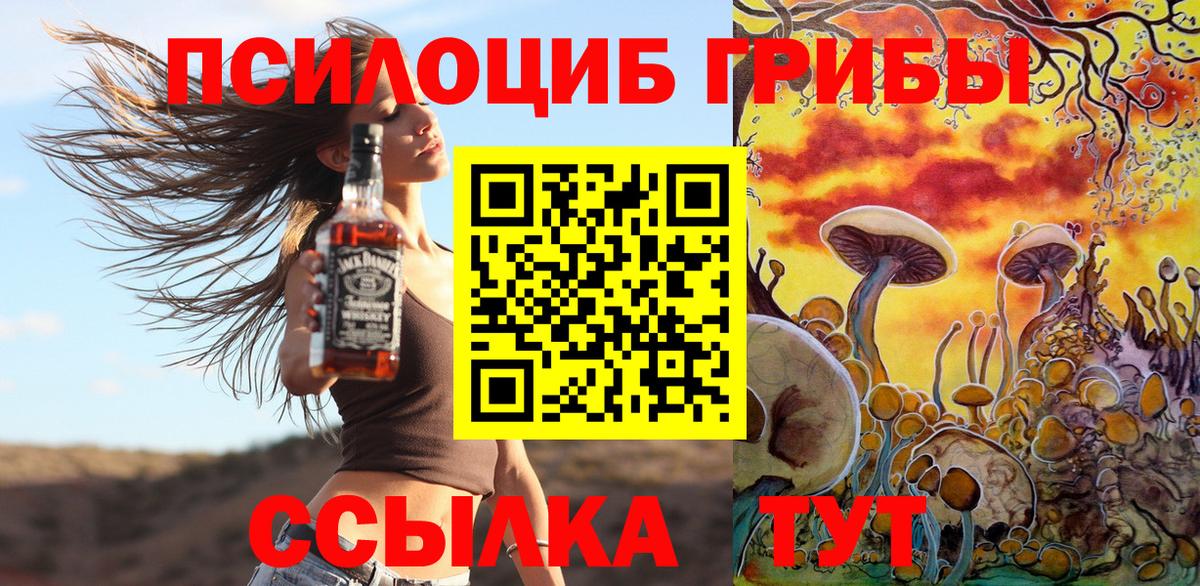 Галлюциногенные грибы Psilocybe  Вход с VPN  Кисловодск 